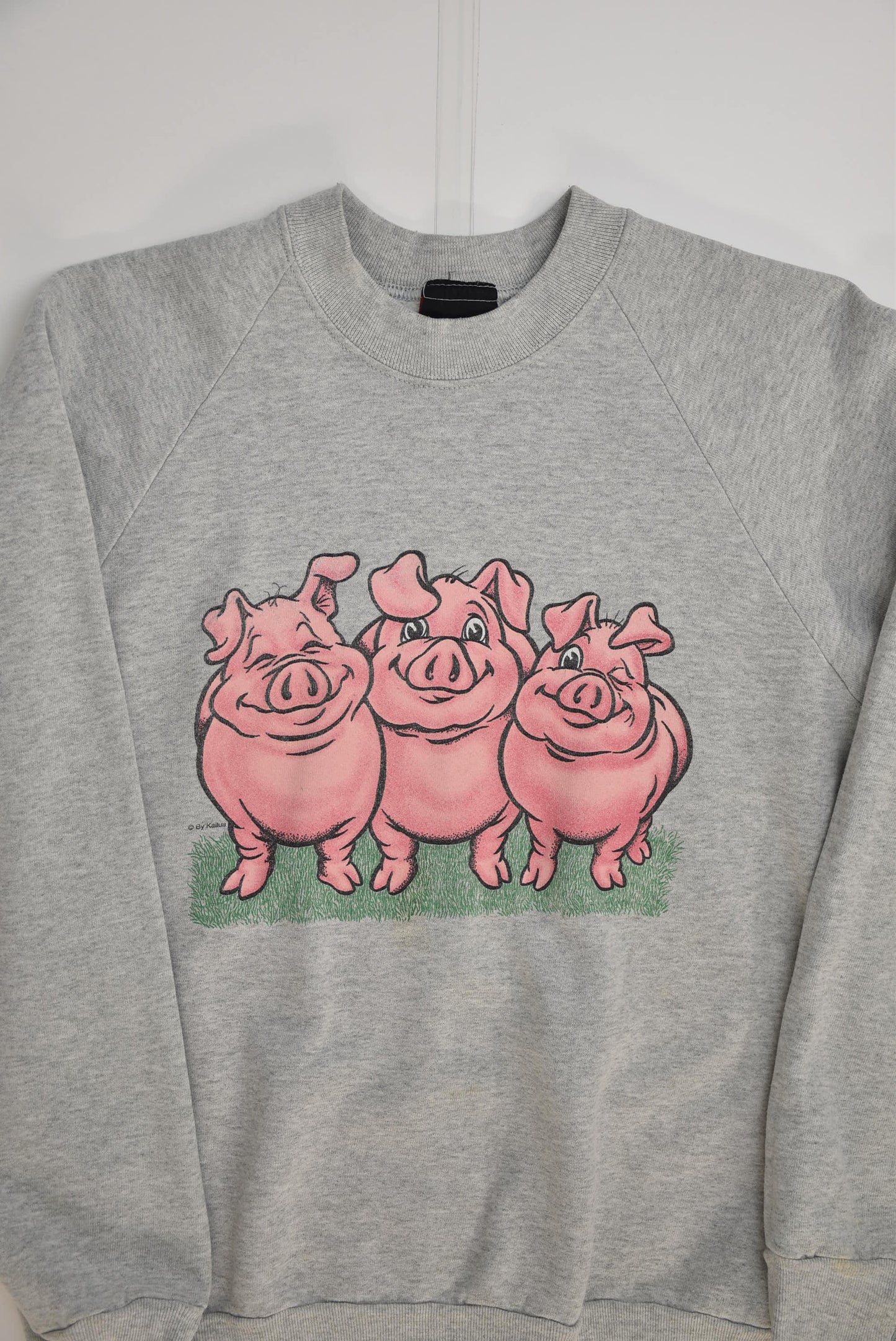 Pig Graphic Sweatshirt (M)