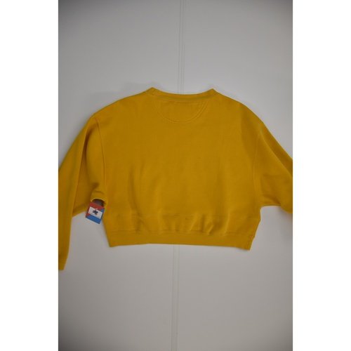 Cropped USA Sweatshirt (L)