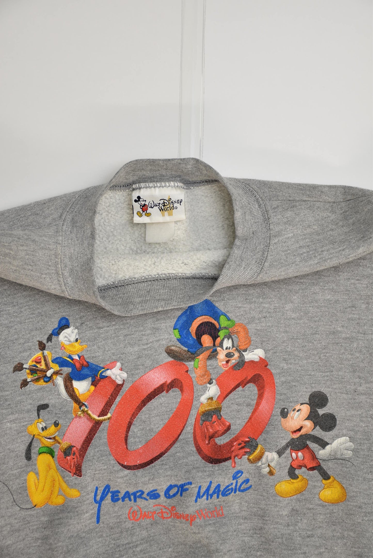 Disney Sweatshirt (M)