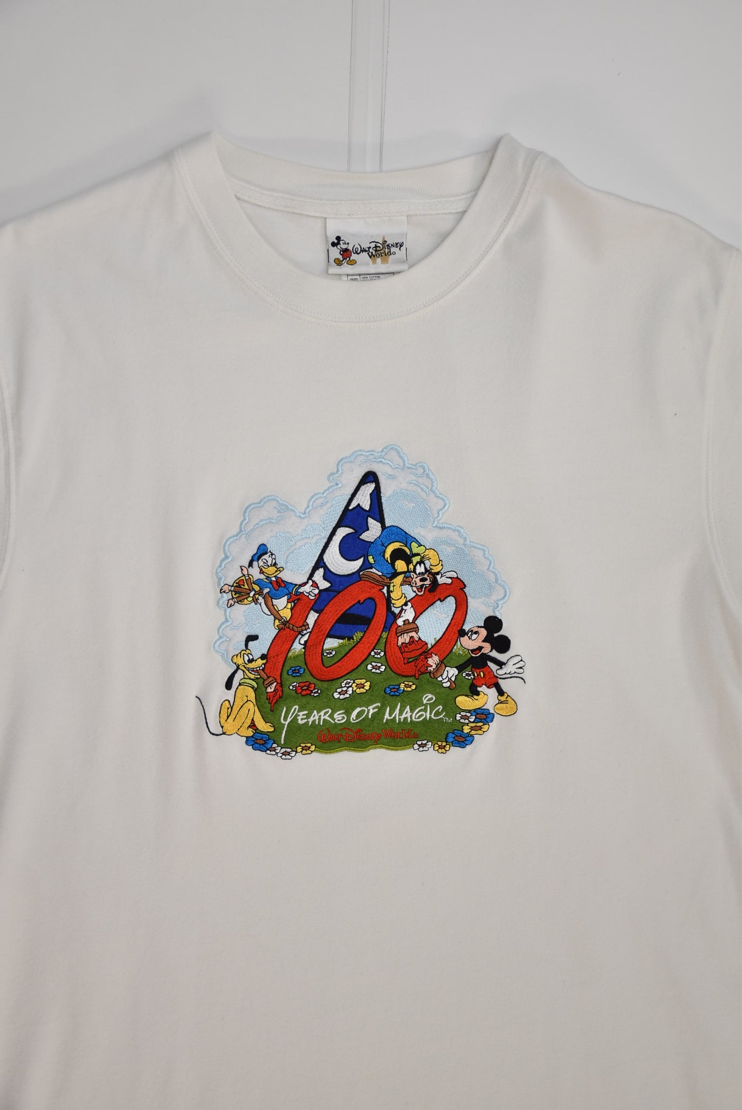 Disney T-shirt (M)